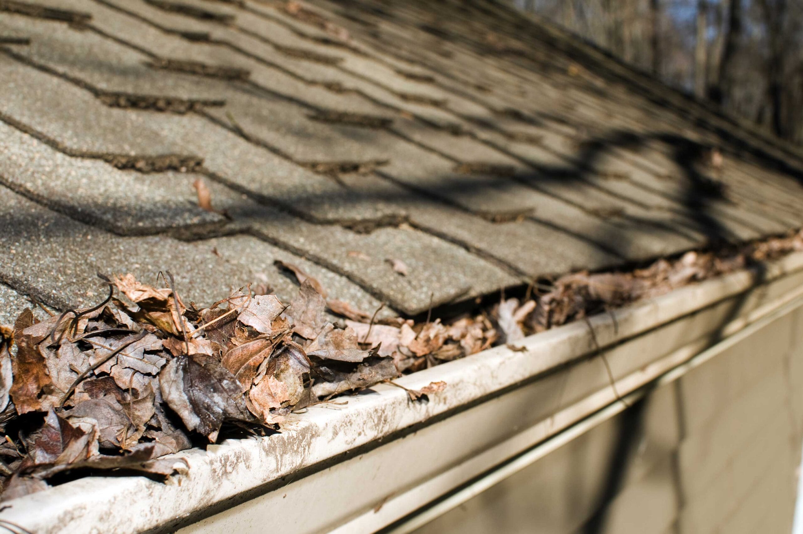 spring roof problems, roof storm damage
